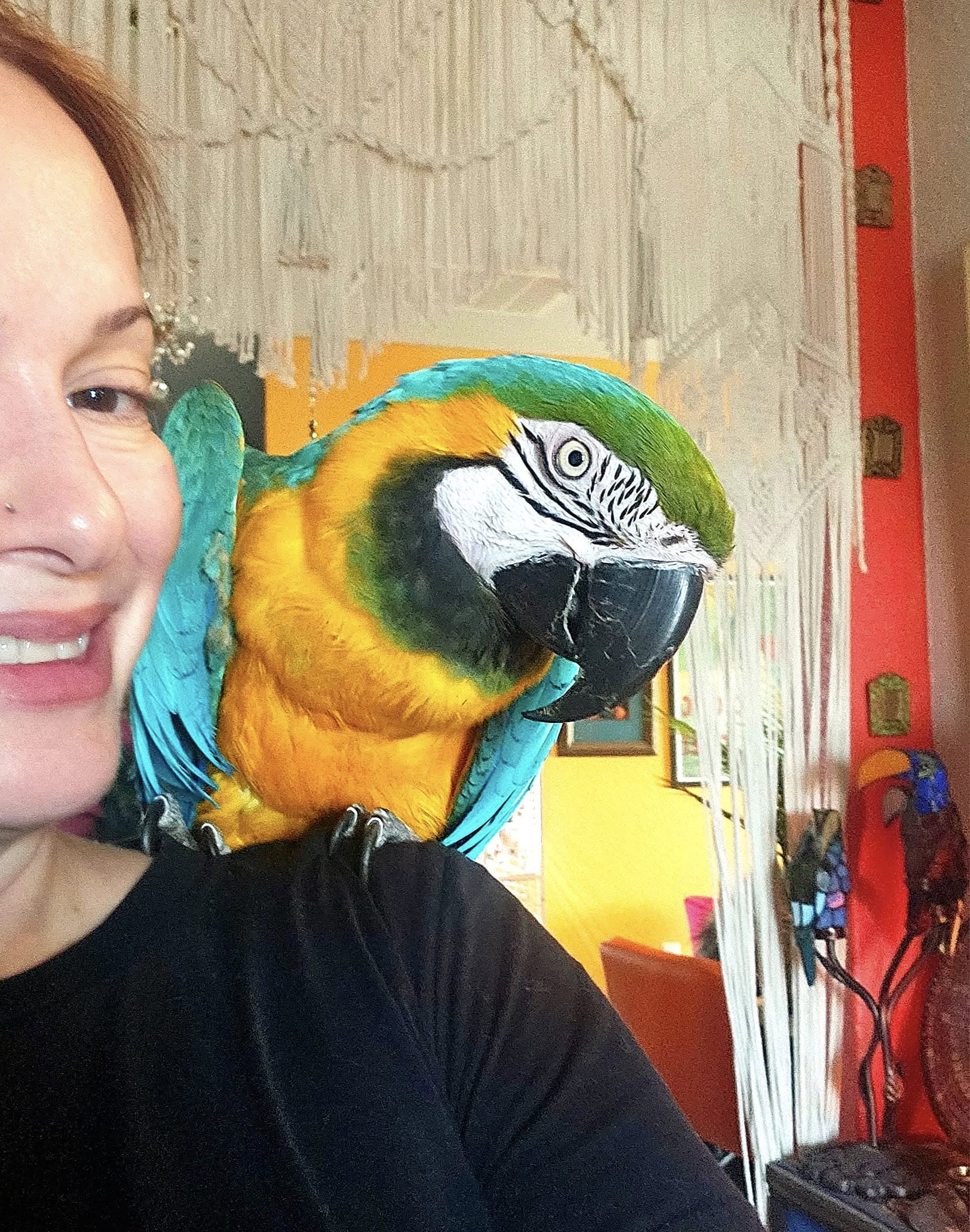 Jess J. Montgomery with Bella, a macaw