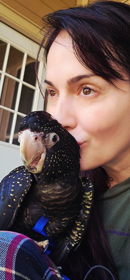 Jess with a black cockatoo